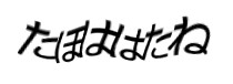 認証画像