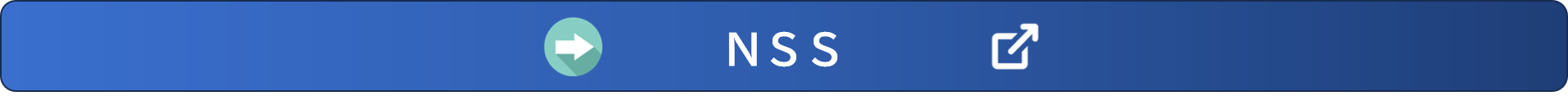 NSS.png